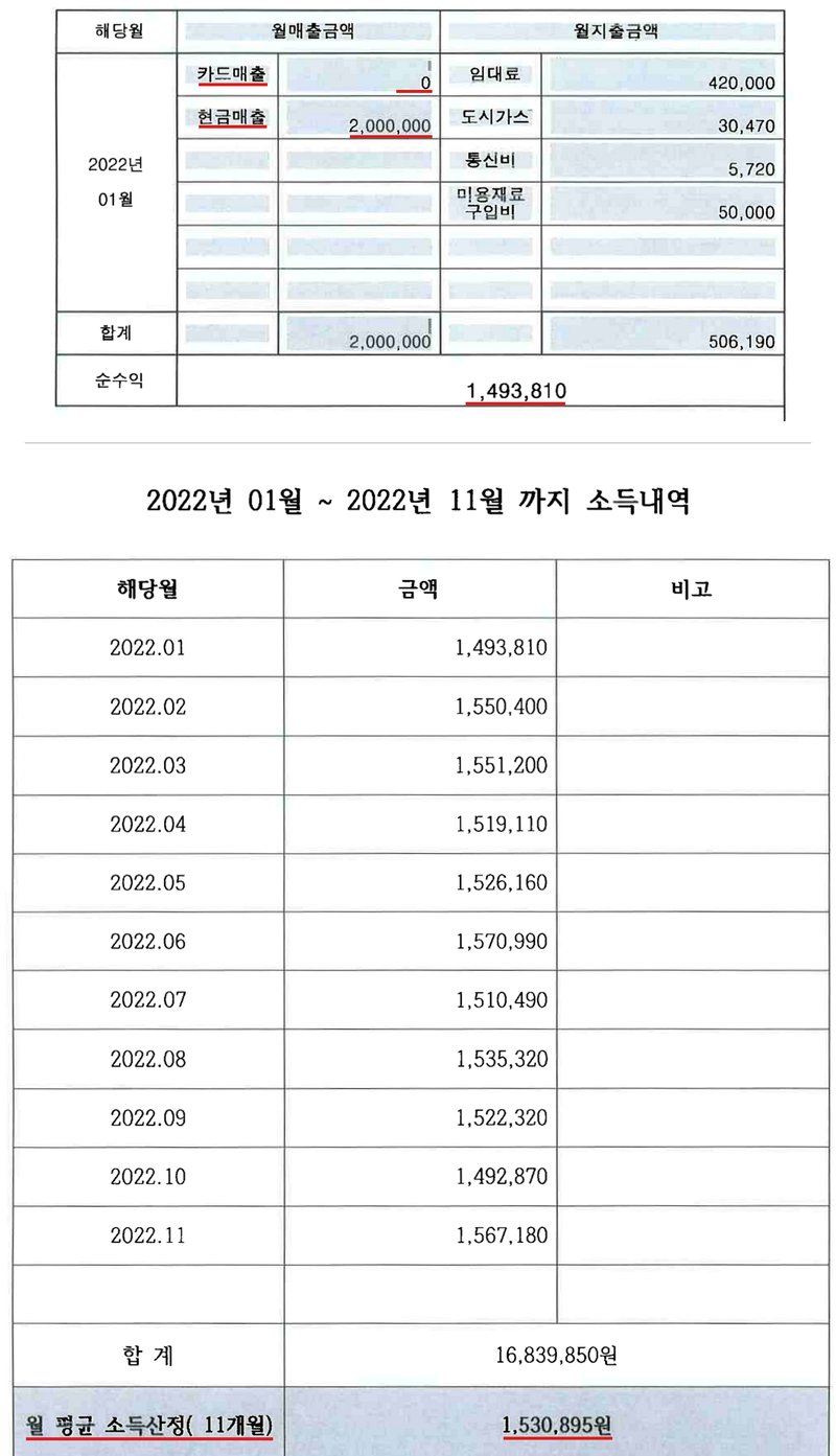 저희 사무소가 법원에 낸 월별 매출·지출표 한 달 치. 해당월 2022년 01월, 월매출금액 카드매출 0원과 현금매출, 월지출금액 임대료·도시가스·통신비·미용재료 구입비, 합계와 순수익. 아래는 2022년 01월부터 11월까지 달마다의 소득을 적은 소득내역표와 그 합계, 월 평균 소득산정(11개월).